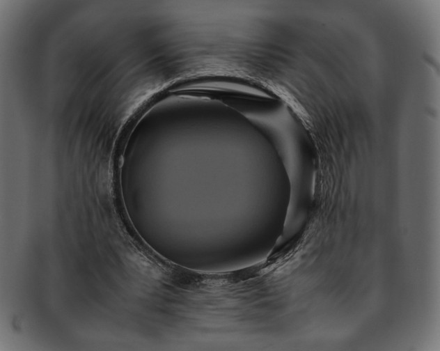 X0000093240391200710031606