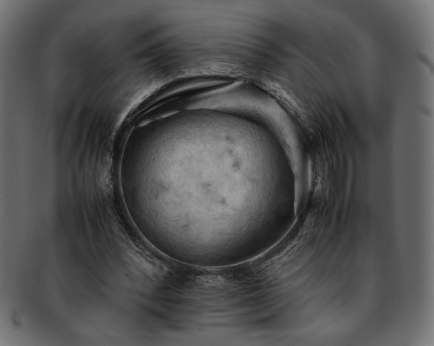 X0000093240392200710031606