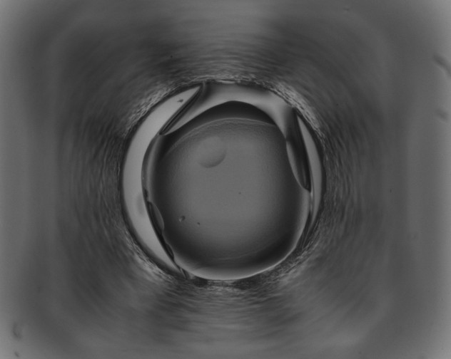 X0000093240393200710031606