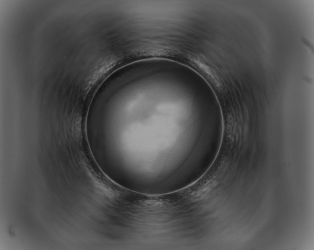 X0000093240394200710031606
