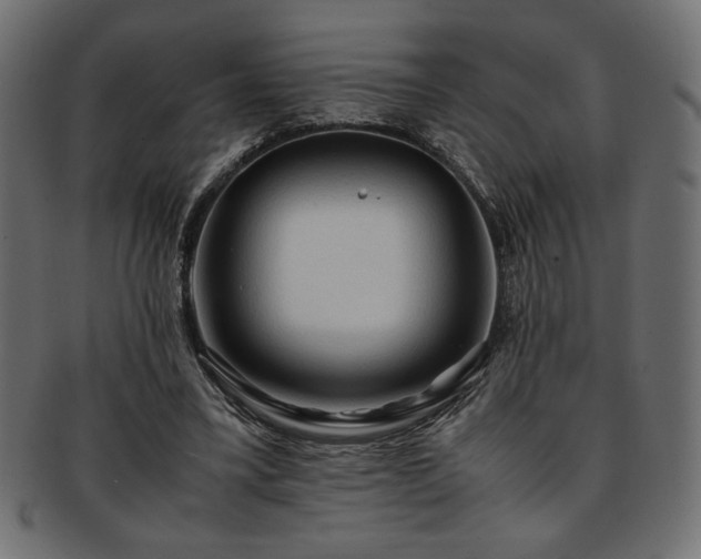 X0000093240395200710031606