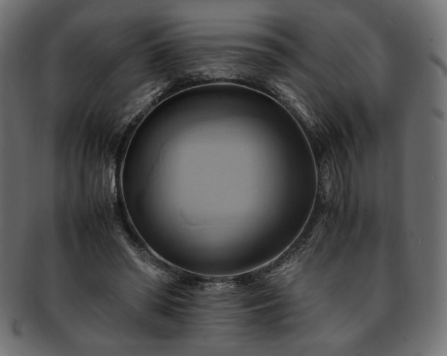 X0000093240398200710031606