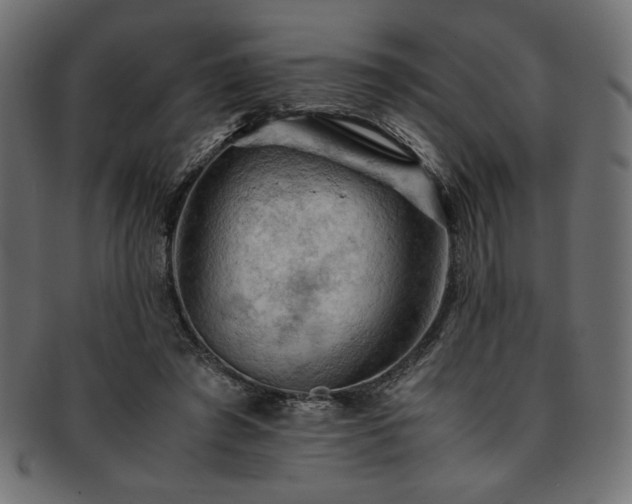 X0000093240401200710031606
