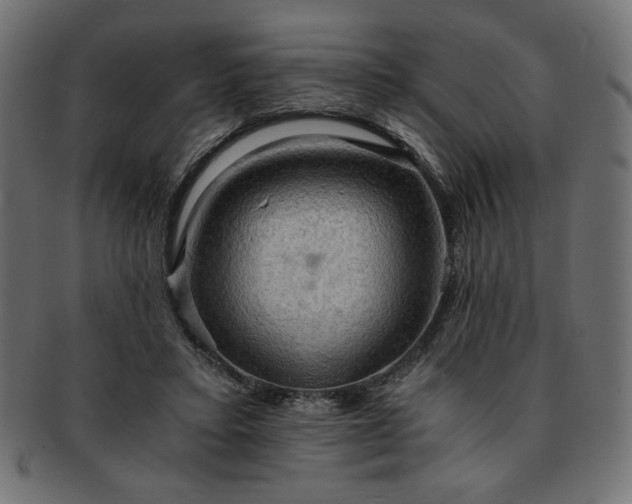 X0000093240403200710031606