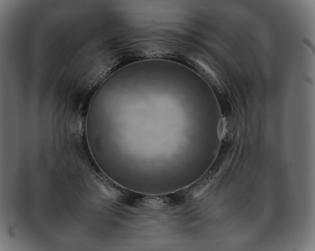 X0000093240405200710031606