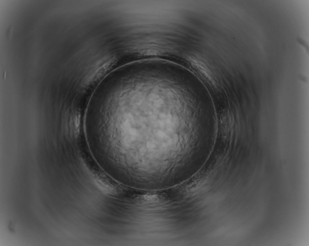 X0000093240406200710031606