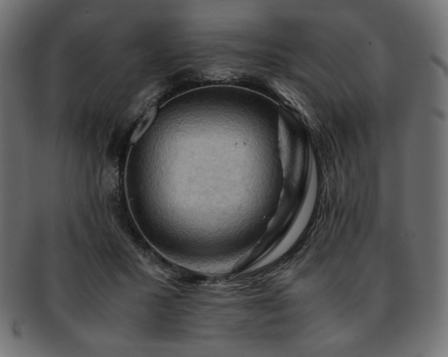 X0000093240407200710031606