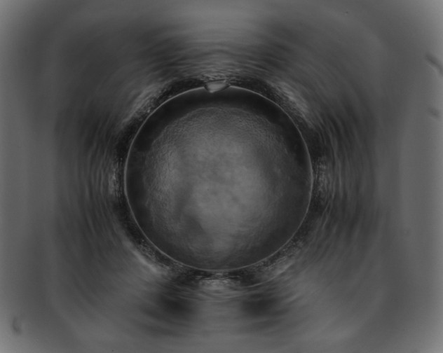X0000093240408200710031606