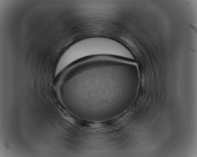 X0000093240409200710031606