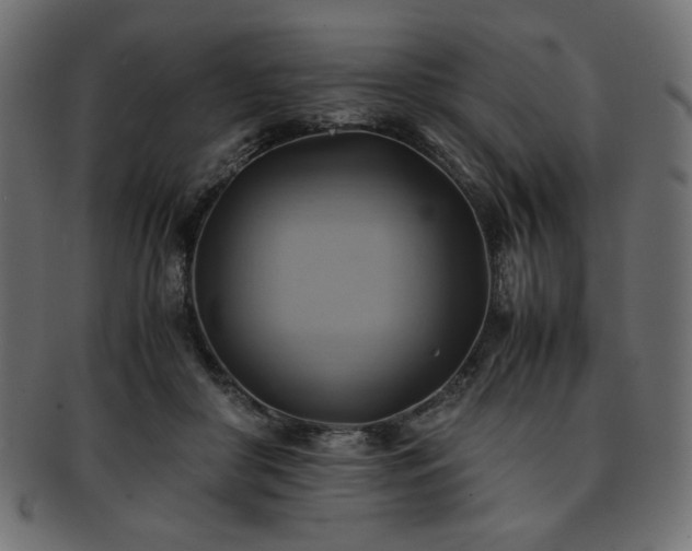 X0000093240410200710031606