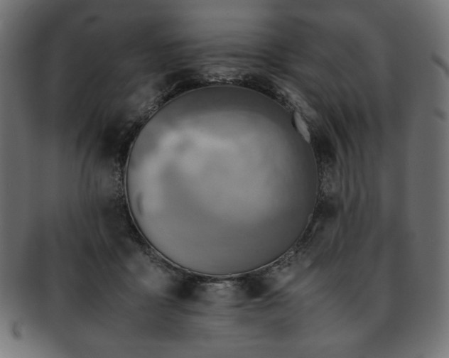 X0000093240411200710031606
