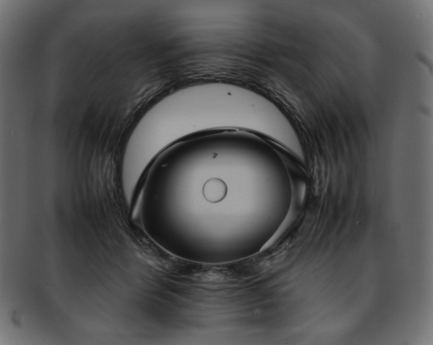 X0000093240412200710031606