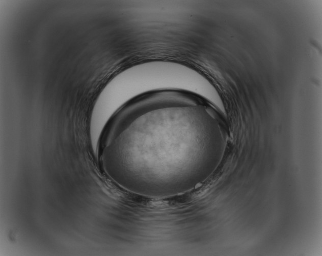 X0000093240413200710031606