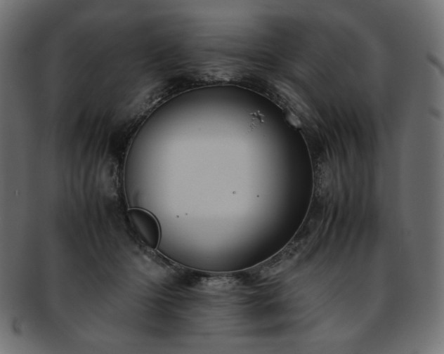 X0000093240414200710031606