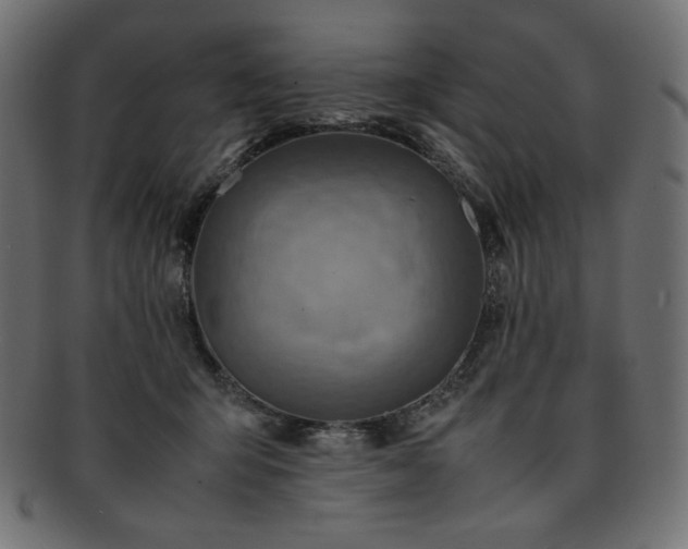 X0000093240415200710031606