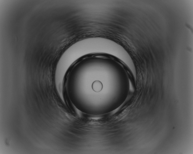 X0000093240416200710031606