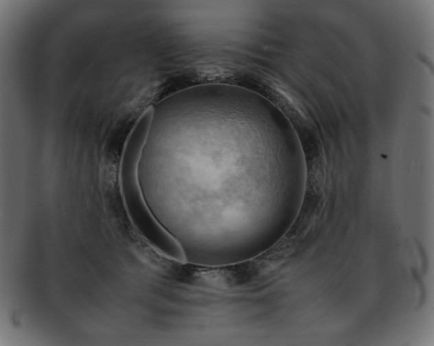 X0000093240417200710031606