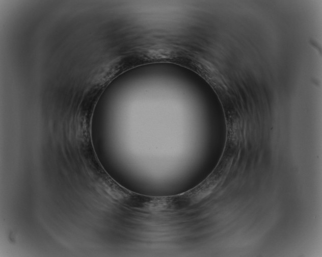 X0000093240418200710031606