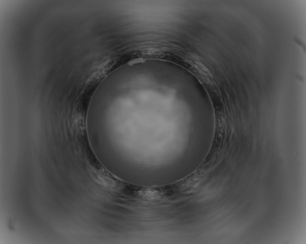 X0000093240419200710031606