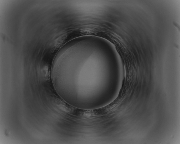 X0000093240420200710031606