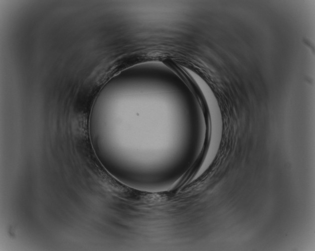 X0000093240421200710031606
