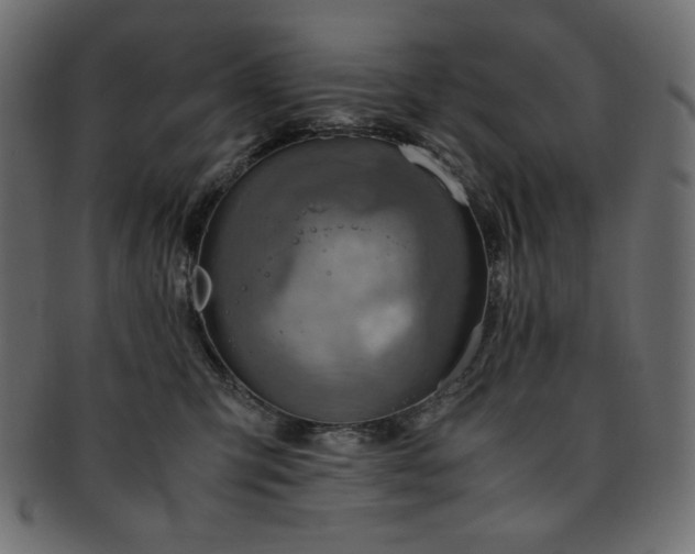X0000093240423200710031606