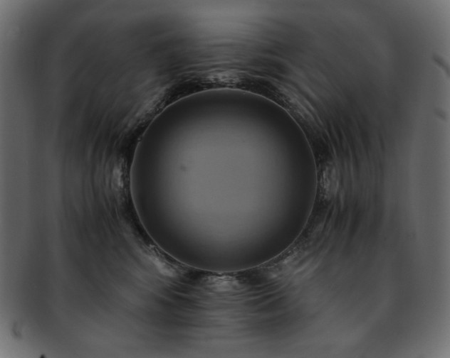X0000093240424200710031606