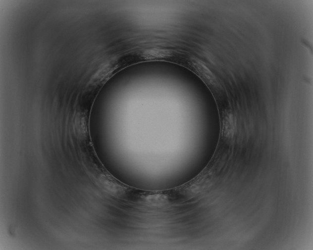 X0000093240426200710031606