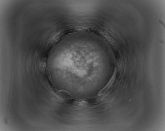 X0000093240427200710031606