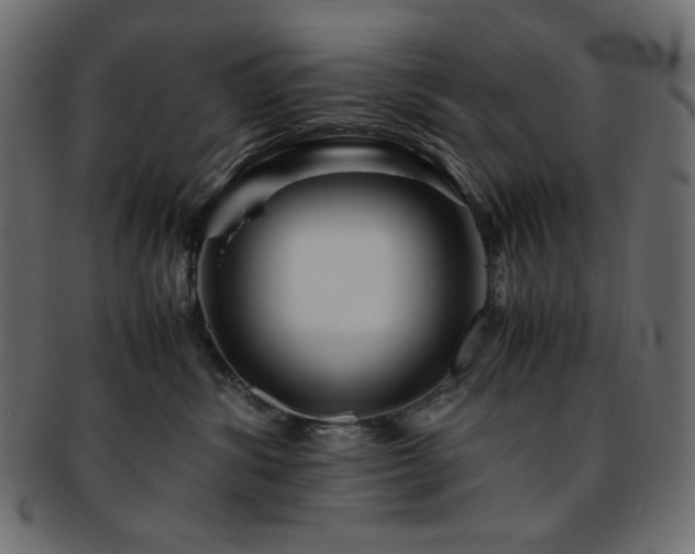 X0000093240428200710031606