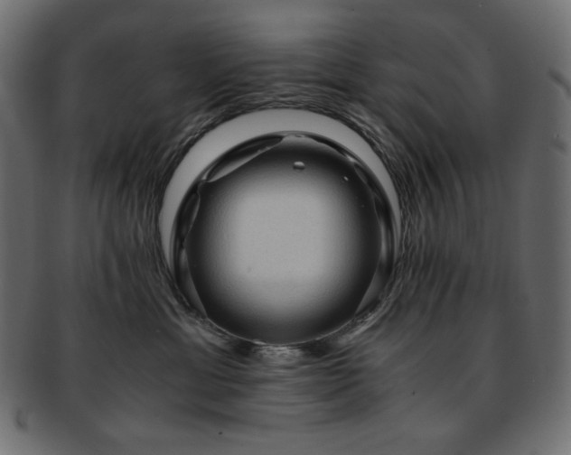 X0000093240429200710031606