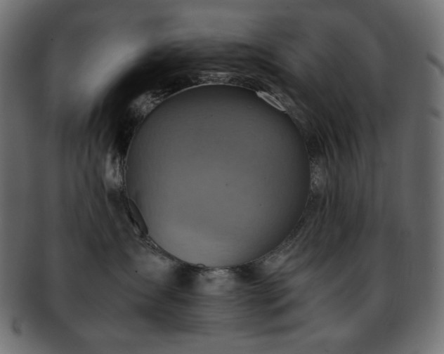 X0000093240431200710031606