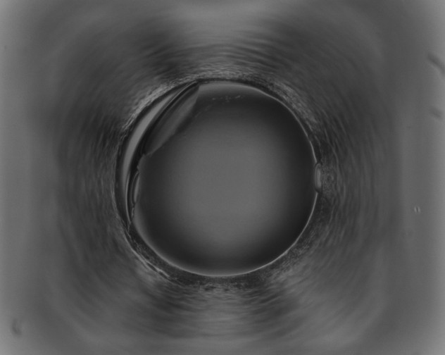 X0000093240434200710031605