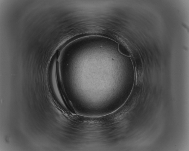 X0000093240435200710031605