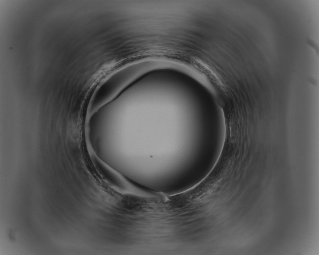 X0000093240436200710031605