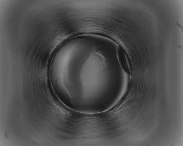 X0000093240438200710031605