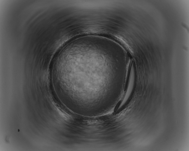 X0000093240439200710031605