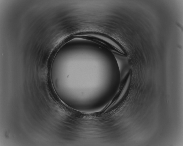 X0000093240440200710031605