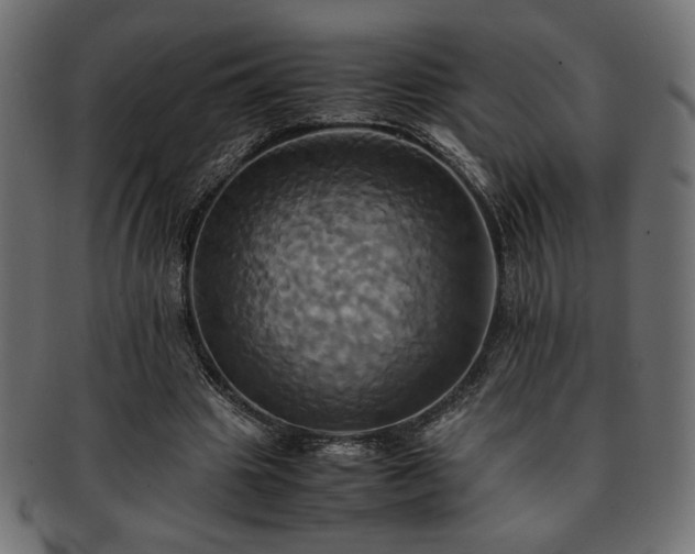 X0000093240441200710031605