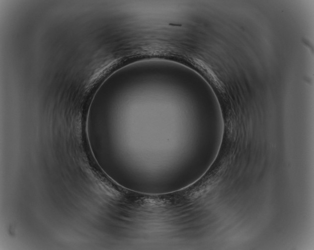 X0000093240442200710031605