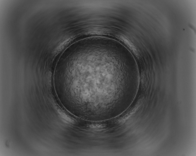 X0000093240445200710031605