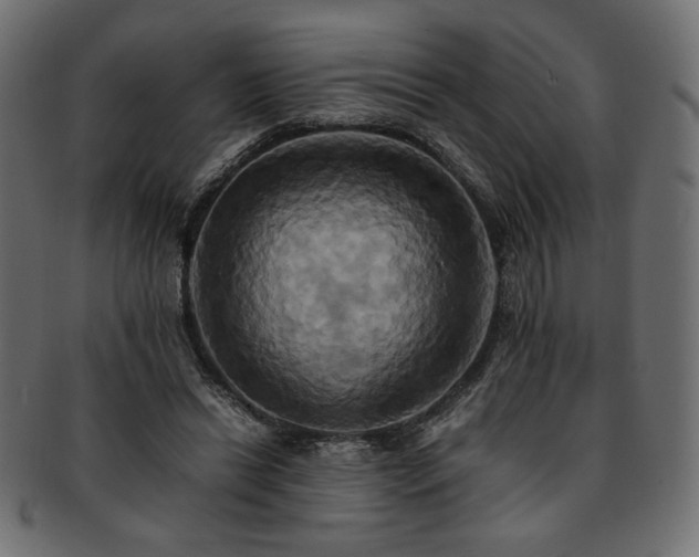 X0000093240446200710031605