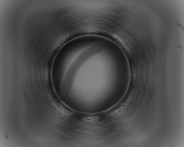 X0000093240447200710031605