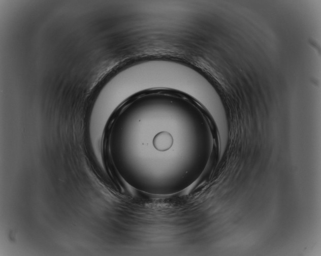 X0000093240448200710031605