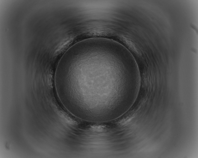 X0000093240450200710031605
