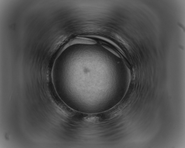 X0000093240452200710031605
