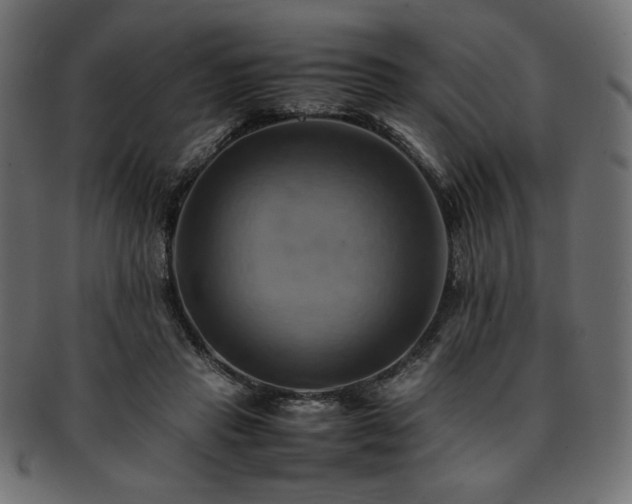 X0000093240453200710031605