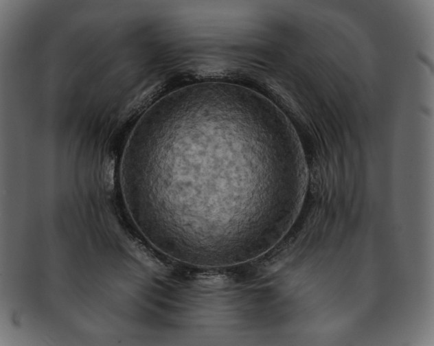 X0000093240454200710031605