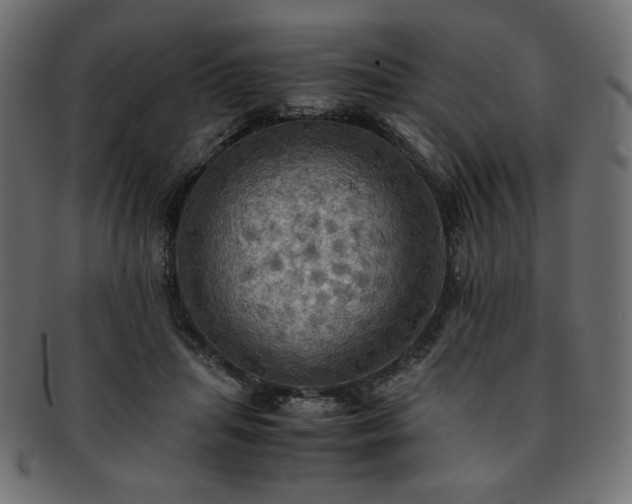 X0000093240455200710031605