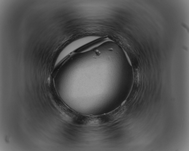 X0000093240456200710031605